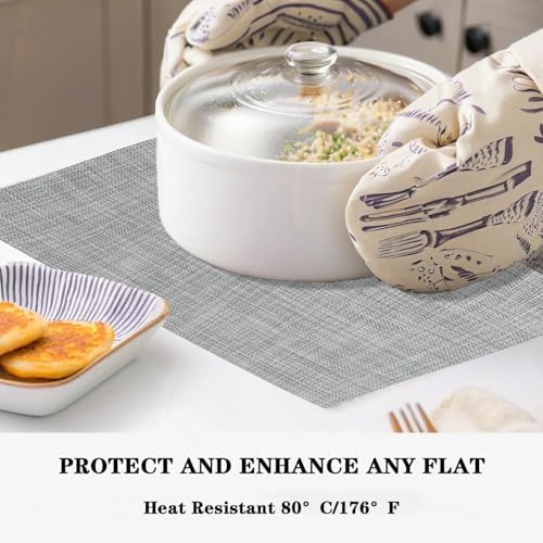 Grey Placemats Set of 2 - Heat-Resistant, Non-Slip Table Mats