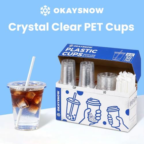 16 Oz 100 Pack Dispoable Cups with Lids and Straws