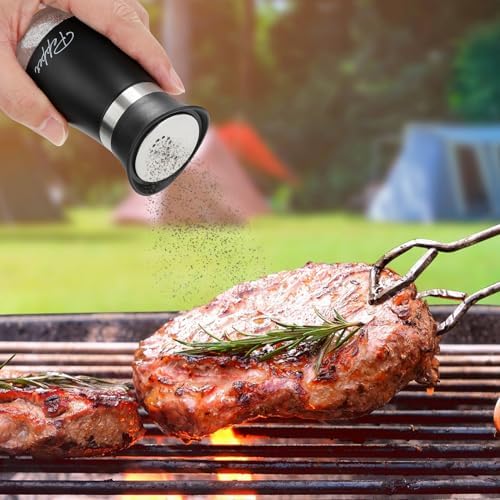 Accmor Salt and Pepper Shakers, 4 oz Stainless Steel Set