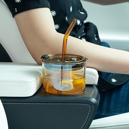 BLUEPOLAR 13oz/400ml Glass Tumbler Water Cup with Straw and Lid