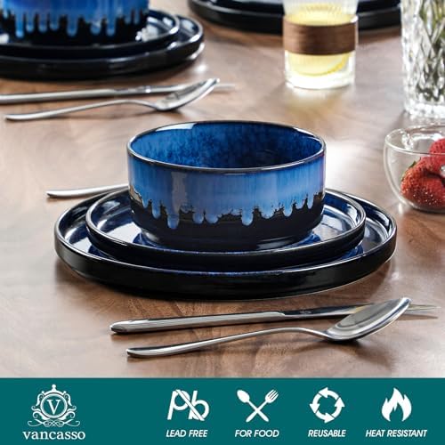 vancasso Starry Plates and Bowls Sets,12 Pieces Blue Dinnerware Sets