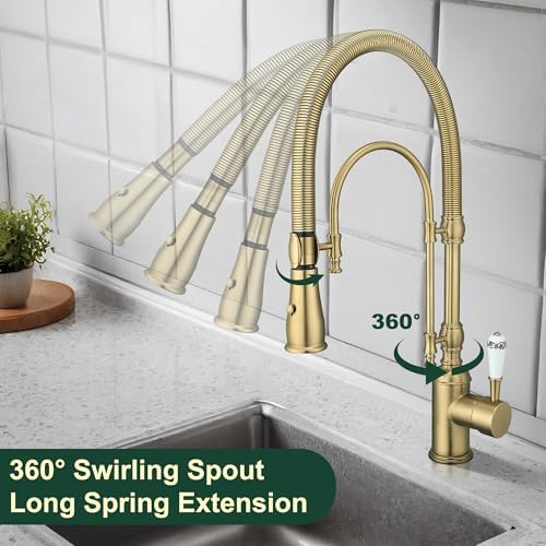 2-in-1 High Arc Pull-Down Swivel Kitchen Faucet, Brushed Gold