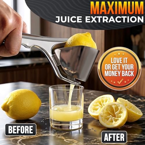 Fold-Flat Stainless Steel Handheld Lemon Squeezer
