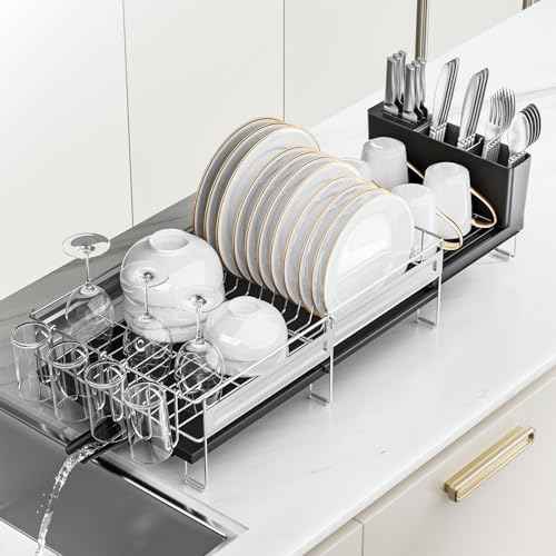 Expandable Stainless Steel Dish Drying Rack, Black