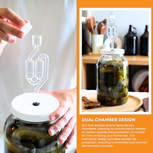 2-Pack 1 Gallon Glass Jars with Lids