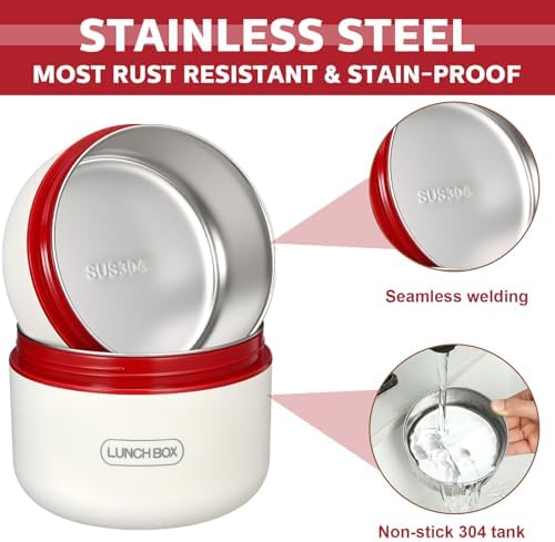 Dandat 4 Pcs Insulated Lunch Container, Portable Bento Box, Stainless