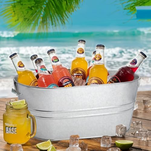 2 Pack 4 Gallon Galvanized Tub Ice Buckets for Parties Portable