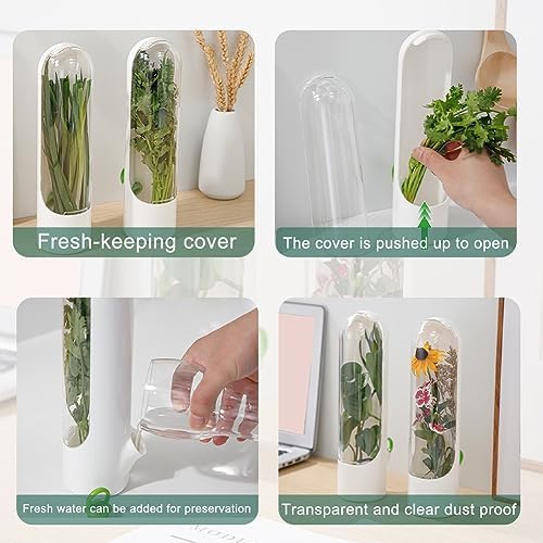 Herb Keeper Container for Refrigerator, Cilantro Saver