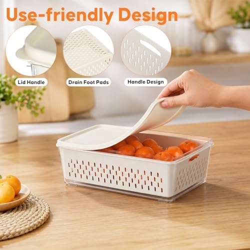 4 Pack Fruit Storage Containers for Fridge