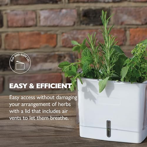 Cole & Mason Fresh Herb Keeper, Acrylic Refrigerator Container