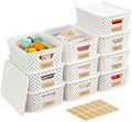 10 Pack Small Plastic Storage Bins with Lids