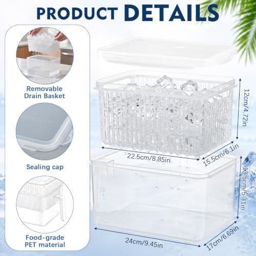 Havawish Ice Storage Bin for Freezer with Drain Basket, Lid and Scoop