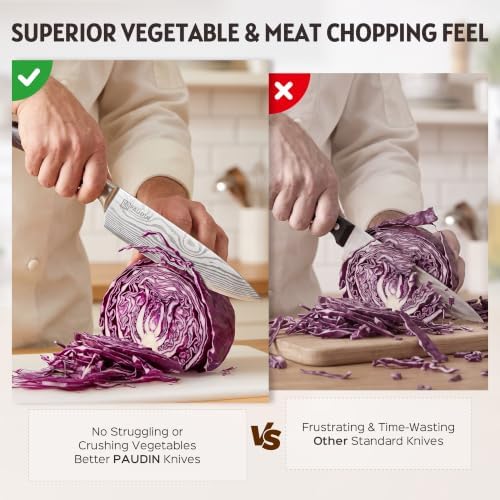 PAUDIN 17 PCS Kitchen Knife Set, Razor Sharp Knife Block Sets, Ideal