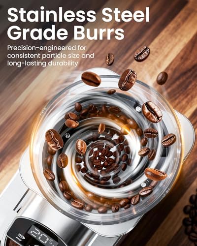 Electric Conical Burr Coffee Grinder