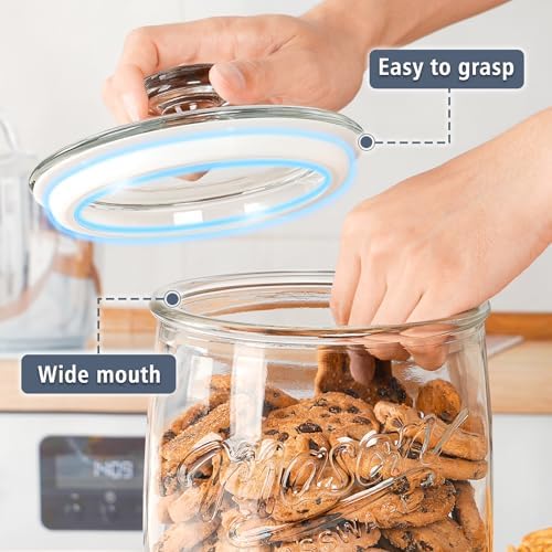 Folinstall 1 Gallon Glass Cookie Jar with Airtight Lid
