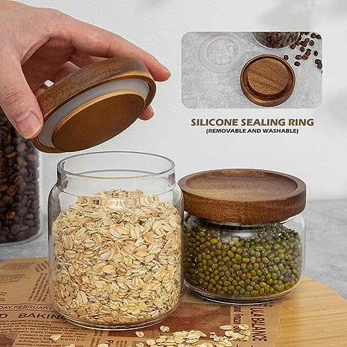 2PCS Small Glass Storage Jars with Airtight Lids, 17 fl oz (500ml)