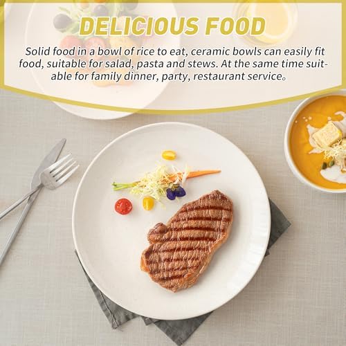 Dafuceramic Plates and Bowls Sets, 12 Pieces Modern Stoneware