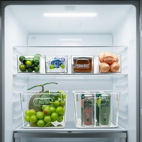 Tiawudi Clear Plastic Storage Bins, 10 Piece Set