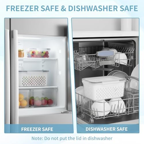 3 Pack Grape Containers for Fridge, 0.9-13.5 Qt
