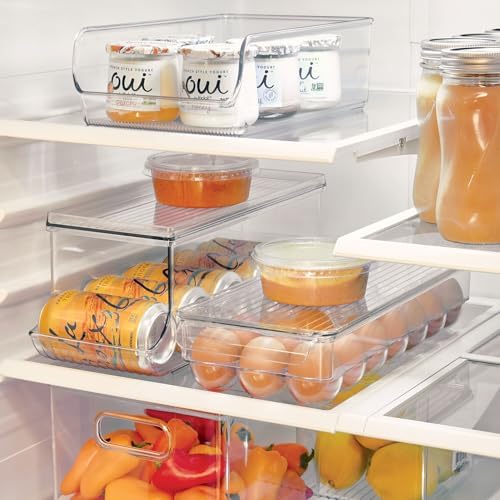iDesign Clear Plastic Egg Holder for Fridge, 21 Egg