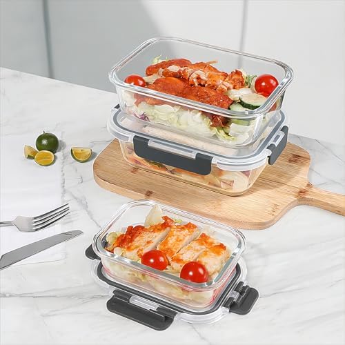 BAYZZ 10 Pack Glass Meal Prep Containers with Lids