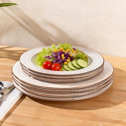 GBHOME Ceramic Dinnerware Sets of 8,24 pcs Plates and Bowls Sets Dishes
