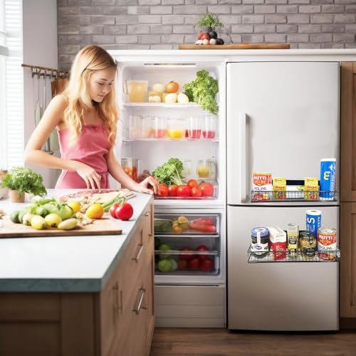Bruda 2 Pack Large Magnetic Spice Rack Organizer