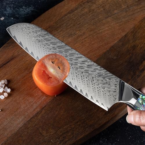 SENKEN Umi Collection 5-Piece Damascus Steel Knife Set
