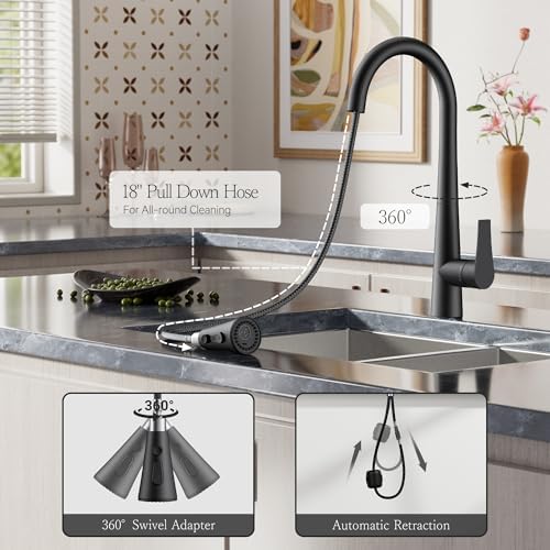 FORIOUS Black Kitchen Faucet with Pull-Down Sprayer