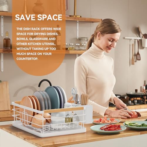 BRIAN & DANY Stainless Steel Dish Drying Rack, White