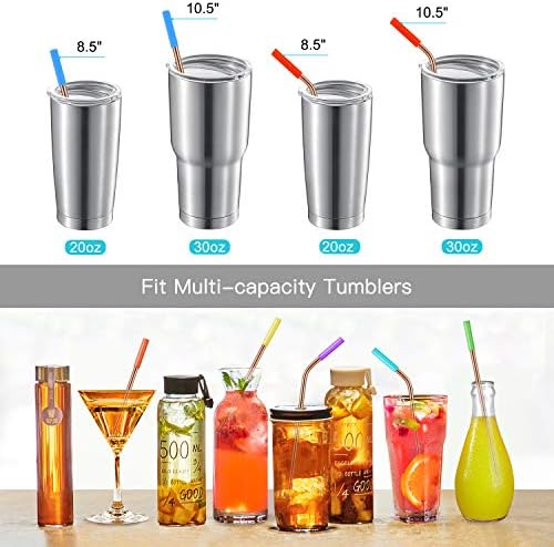 StrawExpert Set of 16 Reusable Stainless Steel Straws with Travel Case
