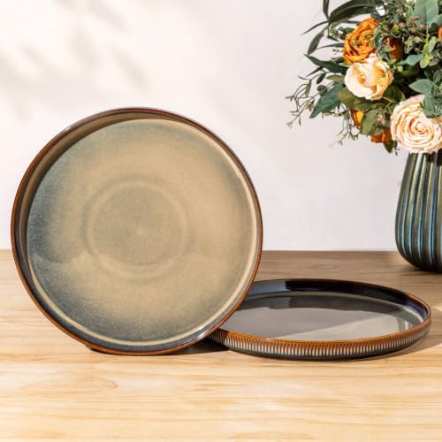 theterra Ceramic Dinner Plates Set of 2, 10.25 Inch Dinnerware Plates