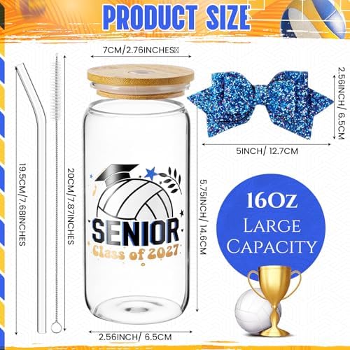 Hushee Senior Night Gifts Class of 2027 Glass Water Bottle, Volleyball