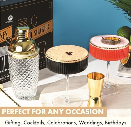 VEMACITY - Luxury Espresso Martini Gifts | Gold Cocktail Shaker Set +