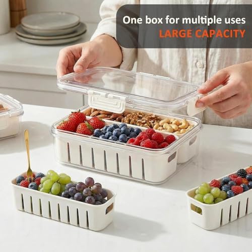 Snack Box Portable Veggie Charcuterie Container