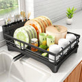 SAYZH Dish Drying Rack with Utensil Holder, Black