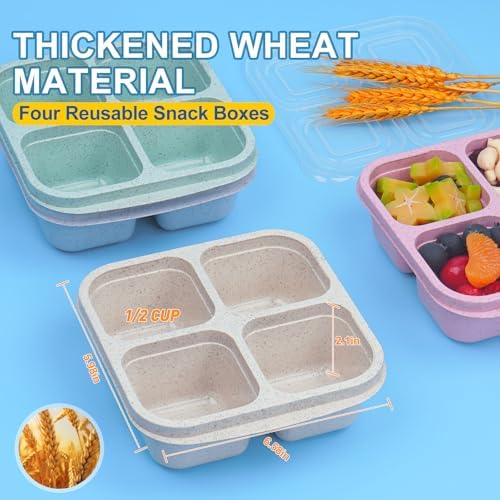 4 Pack Snack Containers, Reusable Bento Snack Box, 2-Cup Capacity