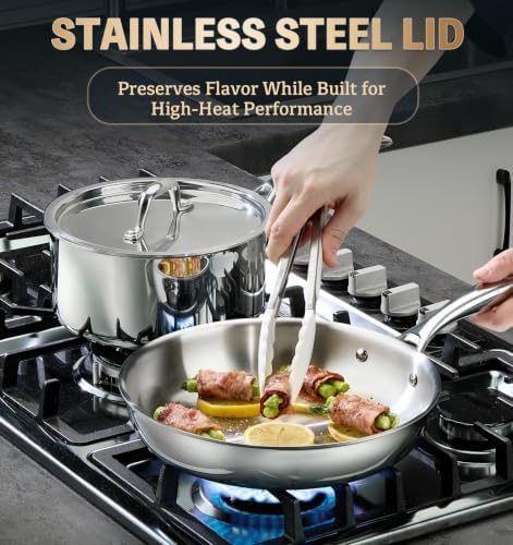 KOCH SYSTEME CS 5 Ply Stainless Steel Cookware Set 21 Piece, Fully Clad