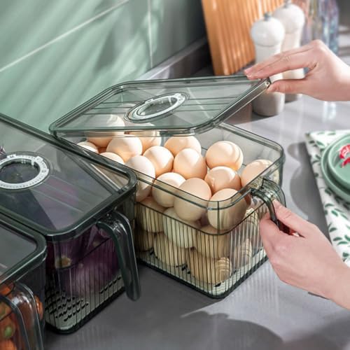 Green Refrigerator Food Container with Vented Lid Dial for Bread