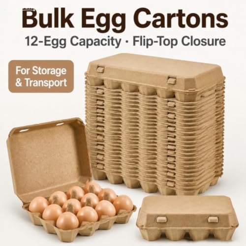 24 Pack Paper Pulp Egg Cartons