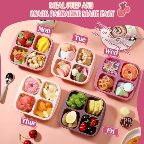 Honeydak 5 Pack 4-Compartment Lunch Box, Rose Red Ombre