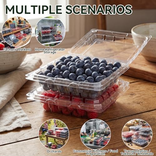 Qinyoung 100 Pcs Berry Containers 6 oz Plastic Vented Containers with