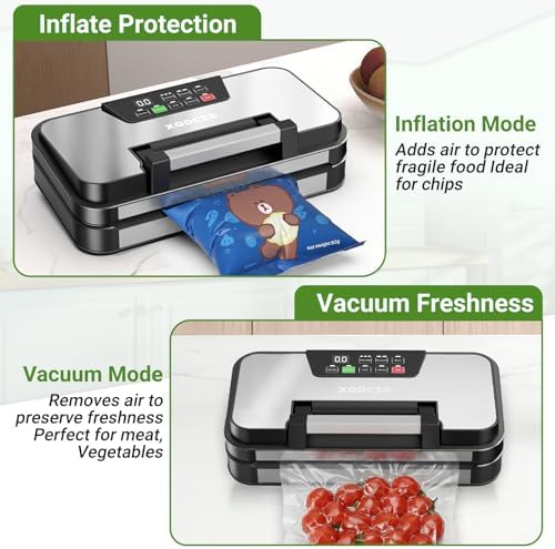95kPa Vacuum Sealer Machine, Dual Pump