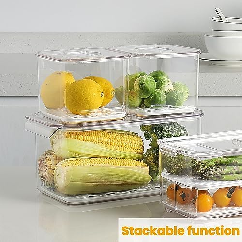 vacane Fresh Produce Saver, 3 Pcs, BPA-Free