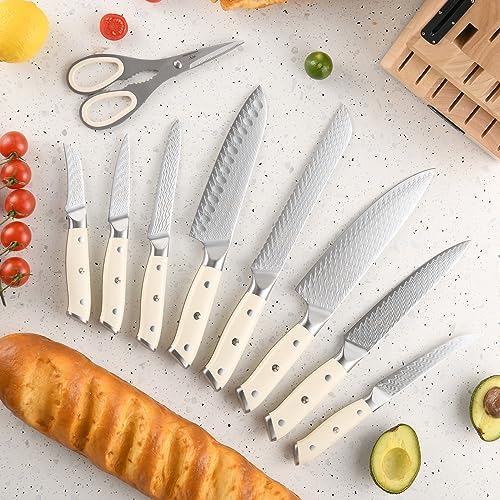 NANFANG BROTHERS 19-Piece VG10 Damascus Knife Set