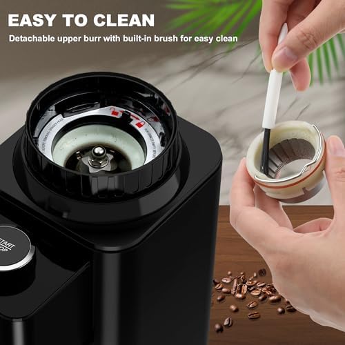 binROC Electric Conical Burr Coffee Grinder, Black