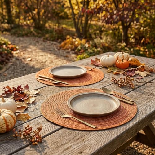 Artoid Mode Orange Cotton Polyester Braided Placemats Set of
