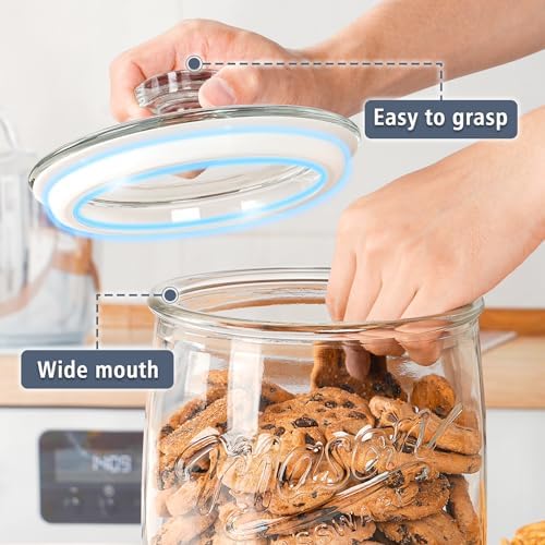 Folinstall 2 Pack 1 Gallon Glass Cookie Jars