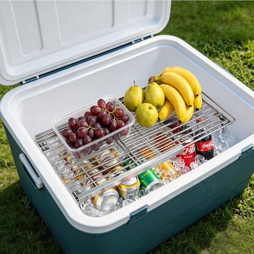 Orgneas Expandable Freezer Shelf Cooler Shelf Organizer 15.8"-22"