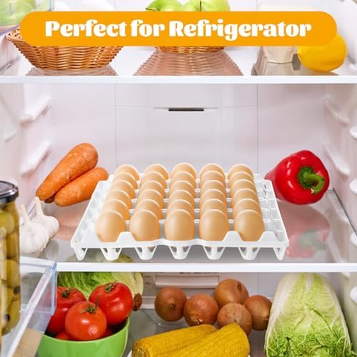12 Pack Plastic Egg Tray, 30 Count, White
